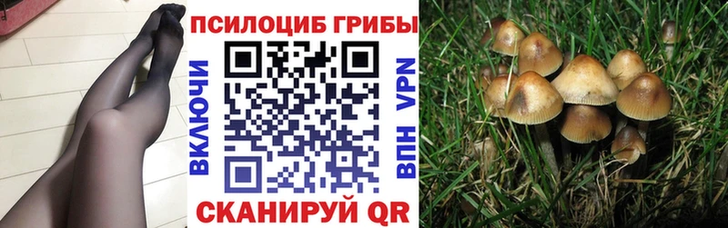 Купить закладки  Красноуфимск  Псилоцибиновые грибы Magic Shrooms 